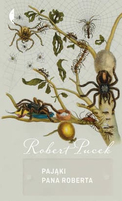 Pająki pana Roberta - ebook - Robert Pucek