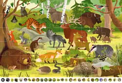 Galeria - zdjęcie nr. 3 - Pakiet Zwierzęta lasu / Puzzle interaktywne. Kakadu