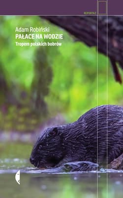 Pałace na wodzie - ebook - Adam Robiński
