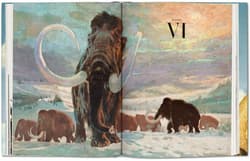 Galeria - zdjęcie nr. 4 - Paleoart. Visions of the Prehistoric Past wer. angielska