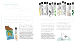 Galeria - zdjęcie nr. 4 - Palmy na biegunie północnym. Wielka opowieść o zmianie klimatu