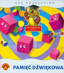 Pamięć dźwiękowa