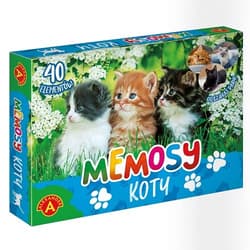 Pamięć Memosy Koty