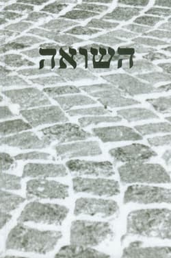 Pamięć Shoah Kulturowe reprezentacje i praktyki upamiętnienia - Opracowanie Zbiorowe