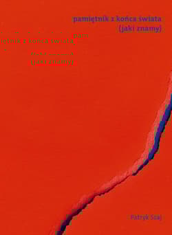 Pamiętnik z końca świata jaki znamy - Patryk Szaj