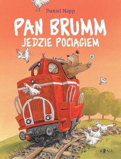 Pan Brumm jedzie pociągiem - Daniel Napp
