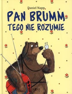 Pan Brumm tego nie rozumie - Daniel Napp