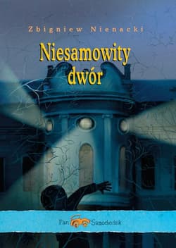 Pan Samochodzik. Niesamowity dwór