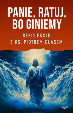 Panie, ratuj, bo giniemy - ebook - ks. Piotr Glas