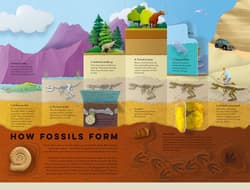 Galeria - zdjęcie nr. 4 - Paper World: Dinosaurs