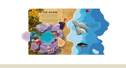 Galeria - zdjęcie nr. 2 - Paper World: Ocean