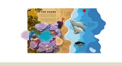 Galeria - zdjęcie nr. 5 - Paper World: Ocean