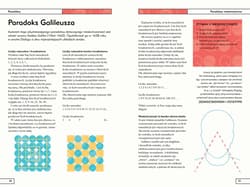 Galeria - zdjęcie nr. 5 - Paradoksy 100 filozoficznych paradoksów