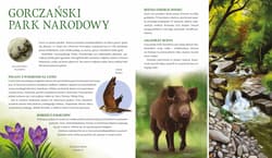 Galeria - zdjęcie nr. 2 - Parki narodowe. Symbole polskiej przyrody