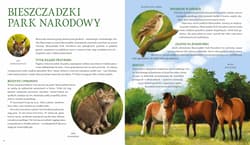 Galeria - zdjęcie nr. 3 - Parki narodowe. Symbole polskiej przyrody