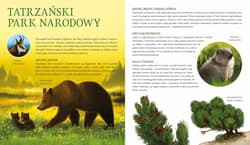 Galeria - zdjęcie nr. 4 - Parki narodowe. Symbole polskiej przyrody