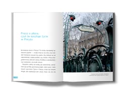 Galeria - zdjęcie nr. 2 - Paryż. O codziennym życiu nad Sekwaną z książką i bagietką pod pachą