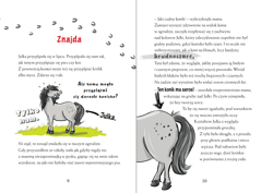 Galeria - zdjęcie nr. 4 - Paskudne Konisko