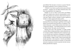 Galeria - zdjęcie nr. 2 - Pati Miłorzeszek i paskudne ciasto zguby