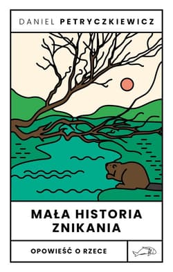 Patrząc na kobiety, patrząc na wojnę - ebook