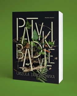 Galeria - zdjęcie nr. 2 - Patyki, badyle