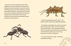 Galeria - zdjęcie nr. 4 - Patyki, kamyki i ROBALE.