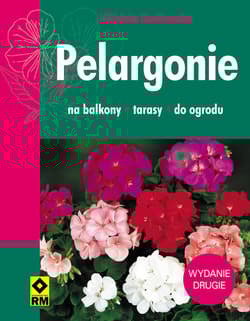 Pelargonie - Elżbieta Kozłowska