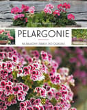 Pelargonie na balkony, tarasy, do ogrodu - Elżbieta Kozłowska