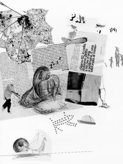 Galeria - zdjęcie nr. 2 - Pelikan. Opowieść z miasta