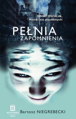 Pełnia Zapomnienia - Bartosz Niegrebecki
