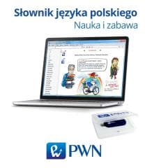 Pendrive - Słownik języka polskiego PWN
