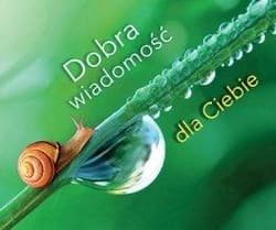 Perełka 288 - Dobra wiadomość dla Ciebie - Praca zbiorowa
