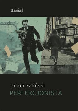 Perfekcjonista - Faliński Jakub