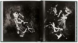 Galeria - zdjęcie nr. 5 - Peter Beard. The End of the Game
