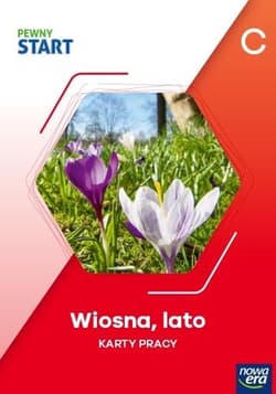 Pewny start. Poziom C. Wiosna, lato, zima KP - Praca zbiorowa