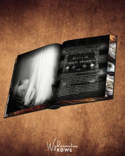 Galeria - zdjęcie nr. 2 - Phantom (ilustrowane brzegi)