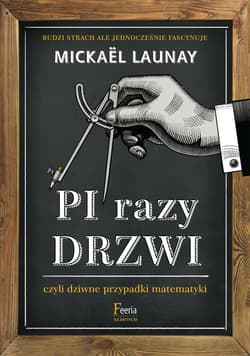 Pi razy drzwi czyli dziwne przypadki matematyki - ebook - Mickael Launay