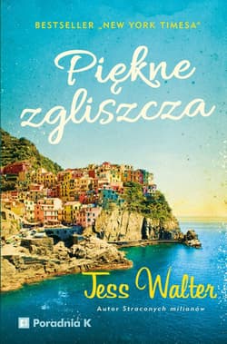 Piękne zgliszcza - Jess Walter