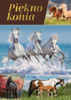 Piękno konia - Opracowanie Zbiorowe