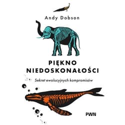 Piękno niedoskonałości - ebook