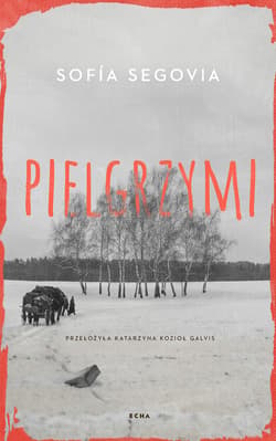 Pielgrzymi - ebook