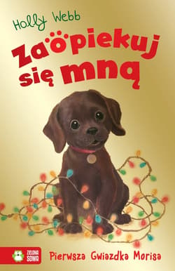 Pierwsza Gwiazdka Morisa. Zaopiekuj się mną - ebook - Holly Webb