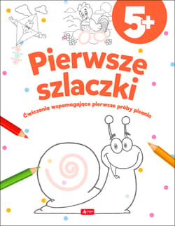 Pierwsze szlaczki Ćwiczenia wspomagające pierwsze próby pisania - Opracowanie Zbiorowe