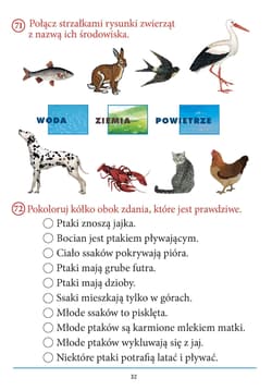 Galeria - zdjęcie nr. 5 - Pierwszoteścik. Testy kompetencji klasa 1