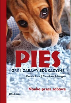 Pies Gry i zabawy edukacyjne Nauka przez zabawę - Corinna Lenz