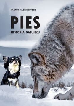 Pies Historia gatunku