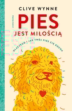 Galeria - zdjęcie nr. 1 - Pies jest miłością Dlaczego i jak twój pies cię kocha