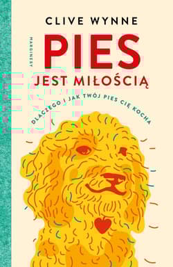Pies jest miłością Dlaczego i jak twój pies cię kocha