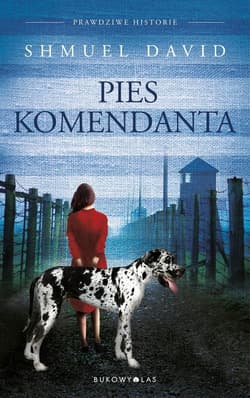 Pies komendata - Shmuel David