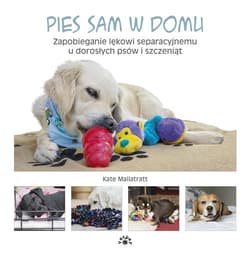 Pies sam w domu Zapobieganie lękowi separacyjnemu u dorosłych psów i szczeniąt - Kate Mallatratt